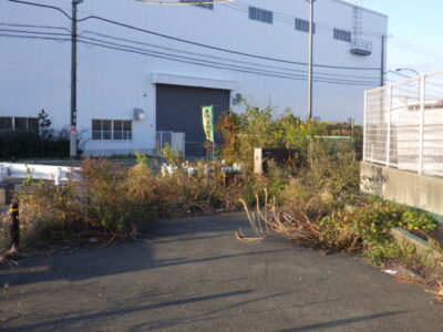 物流センター周囲の除草作業と低木剪定を半日で実施した事例｜大阪市此花区