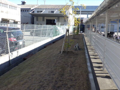 600㎡ある敷地内の芝刈り作業を2人半日で実施した事例｜京都府長岡京市