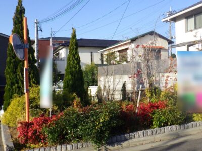 台風で傾いてしまったコノテガシワの高木剪定とフィリフェラオーレアなどの低木剪定・除草作業を半日で実施した事例｜大阪府摂津市