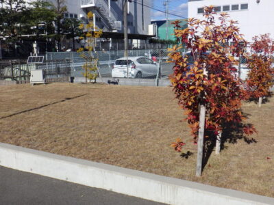 600㎡ある敷地内の芝刈り作業を2人半日で実施した事例｜京都府長岡京市