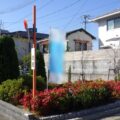 台風で傾いてしまったコノテガシワの高木剪定とフィリフェラオーレアなどの低木剪定・除草作業を半日で実施した事例｜大阪府摂津市