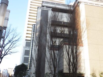 マンションの管理組合様よりケヤキ12本の枯れ枝除去とシラカシ2本の伐採をご依頼いただいた事例｜大阪市浪速区