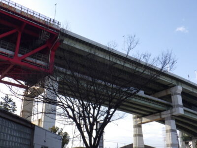 枝が建物に当たっている高さ8mのケヤキ1本を1人4時間で剪定した事例｜大阪市住之江区