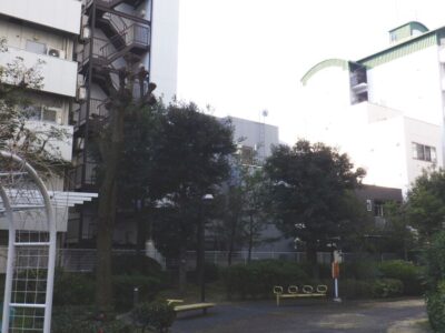 【年間植栽管理】公園と公園周囲のクスノキ・アラカシ・イスノキなどの高木剪定を6人1日半で実施した事例｜大阪市港区（作業前）
