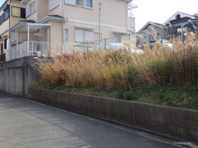 駐車場横の草がボーボーの斜面地の草刈りを実施した事例｜大阪府枚方市