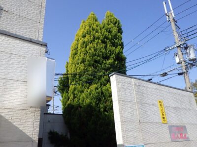 施工画像