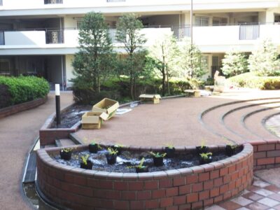 【年間植栽管理】マンション花壇のアベリアフランシスメイソン・アベリアホープレイズの植え替え作業を2人半日で実施した事例｜大阪府枚方市