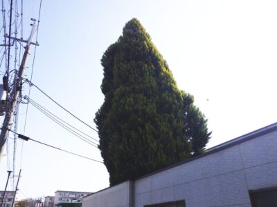 施工画像