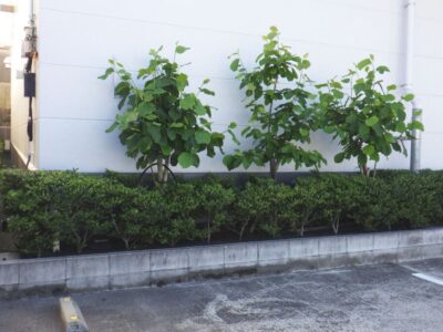 施工画像
