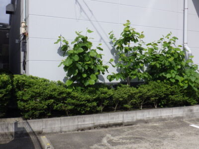 施工画像