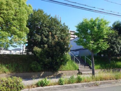 【年3回の植栽管理】大きくなりすぎてしまった6mのクスノキ2本・ヤマモモ2本の計4本の高木剪定をした事例｜大阪府枚方市