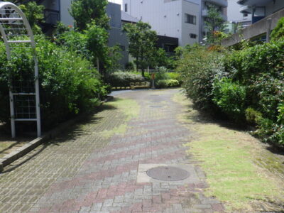 【年間植栽管理】マンションの敷地1200㎡の除草作業を2日半で実施した事例｜大阪市港区