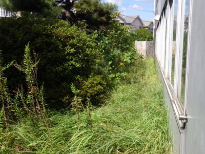草がボーボーに生い茂っていた工場と駐車場周囲の除草作業を2人1日半で実施した事例｜大阪府枚方市