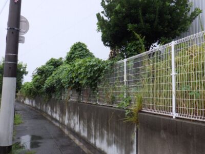 草がボーボーに生い茂った工場のフェンス周りの除草作業を4人1日で実施した事例｜大阪府大阪市港区