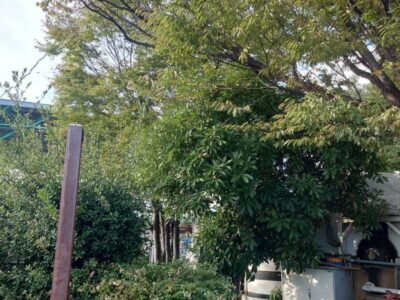 施工画像