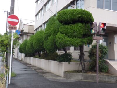施工画像