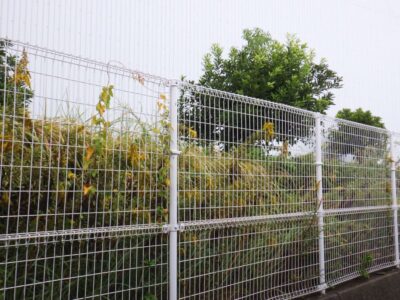 草がボーボーに生い茂った工場のフェンス周りの除草作業を4人1日で実施した事例｜大阪府大阪市港区