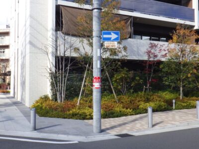 【年4回のマンション植栽管理】高さ3～12mの落葉樹トウカエデ・モミジ・サルスベリ・コブシ・アメリカヤマボウシ・ハナミズキの高木剪定を2人1日で実施した事例｜大阪府大阪市東淀川区