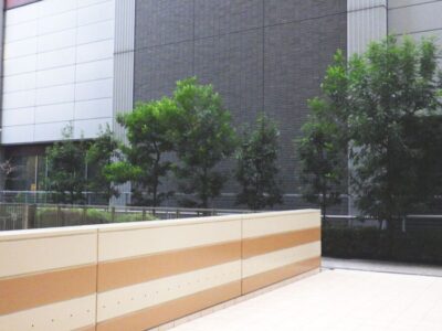 【年4回のマンション植栽管理】シマトネリコ・アラカシ・シラカシ・トウカエデ計44本の高木剪定と除草作業を2人2日で実施した事例｜大阪府大阪市浪速区