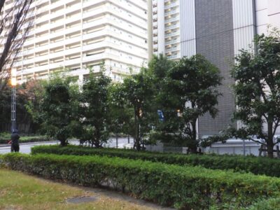 施工画像