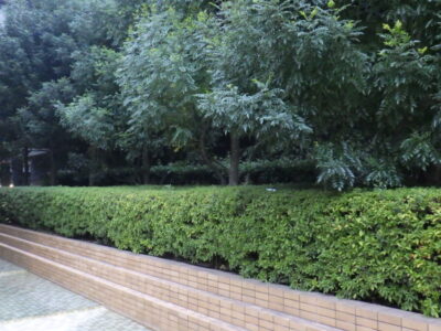 施工画像