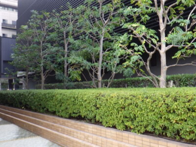 施工画像