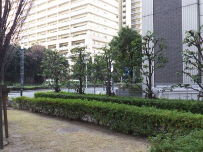 施工画像