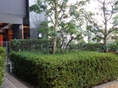 施工画像