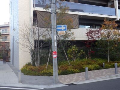【年4回のマンション植栽管理】高さ3～12mの落葉樹トウカエデ・モミジ・サルスベリ・コブシ・アメリカヤマボウシ・ハナミズキの高木剪定を2人1日で実施した事例｜大阪府大阪市東淀川区