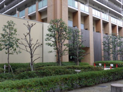 施工画像