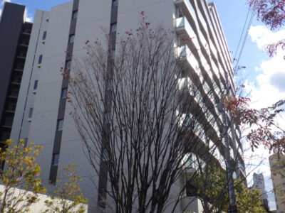 施工画像