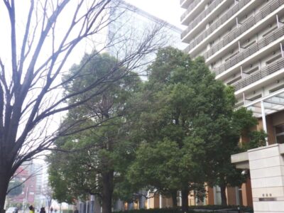 施工画像