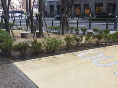【年4回の植栽管理】マンションの植栽エリアにヒラドツツジとホープレイズそれぞれ40株を2人半日で補植した事例｜大阪府大阪市浪速区