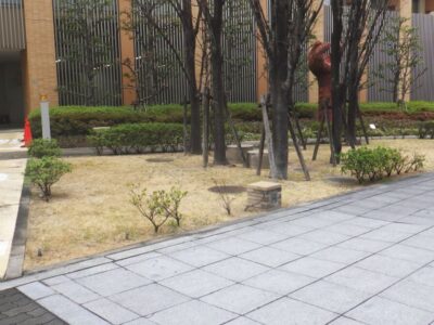 施工画像