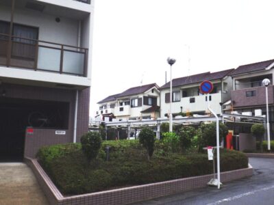 社宅に植わっていたサルスベリ1本とアラカシ5本の計6本を3人4時間で伐採した事例｜京都府八幡市