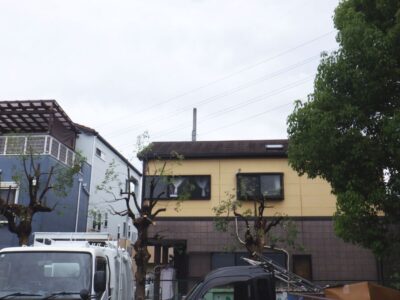 近隣住宅からクレームがあった高さ6mのクスノキ5本を3人半日で強剪定した事例｜大阪府枚方市