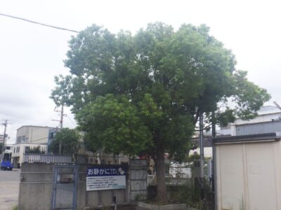 施工画像