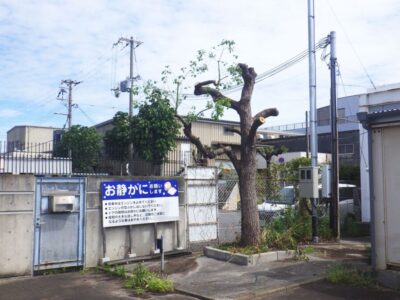 施工画像