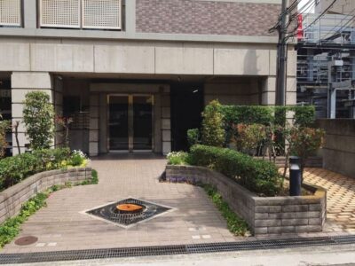 マンションの管理会社様より高さ5～6mのケヤキの「伐採」とレッドロビン・アベリア・プリペットの「剪定」をご依頼いただいた事例｜大阪府堺市