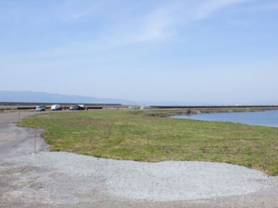 鳥の生息地であるエリア6,000㎡の除草作業を13人6時間で実施した事例｜大阪府大阪市
