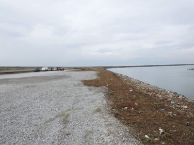 埋立地の海岸沿いを中心に広さ5,000㎡の除草作業を12人5時間で実施した事例｜大阪府大阪市