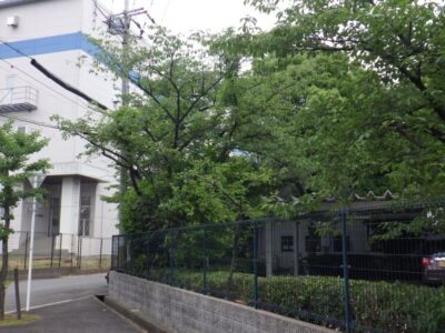 施工画像