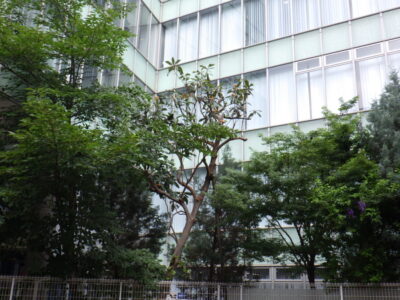 施工画像