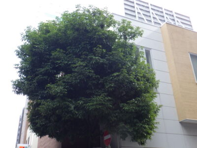 施工画像