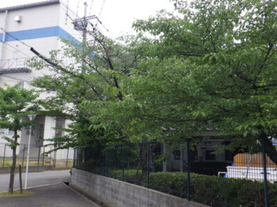 施工画像