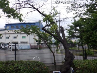 施工画像