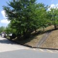 傾斜がある土地の「除草作業」とヒラドツツジ・サツキツツジ・ユキヤナギ・サザンカの「低木剪定」を2人1日で実施した事例｜奈良県生駒市