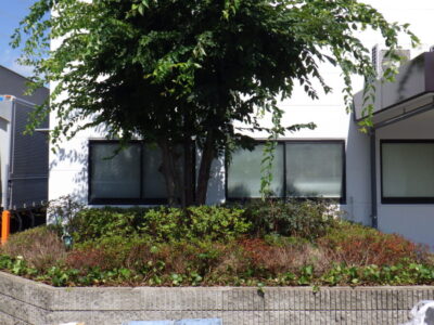 施工画像
