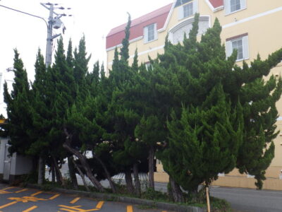 施工画像