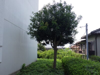 施工画像